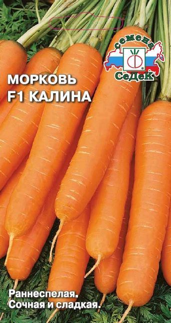 Морковь Калина F1