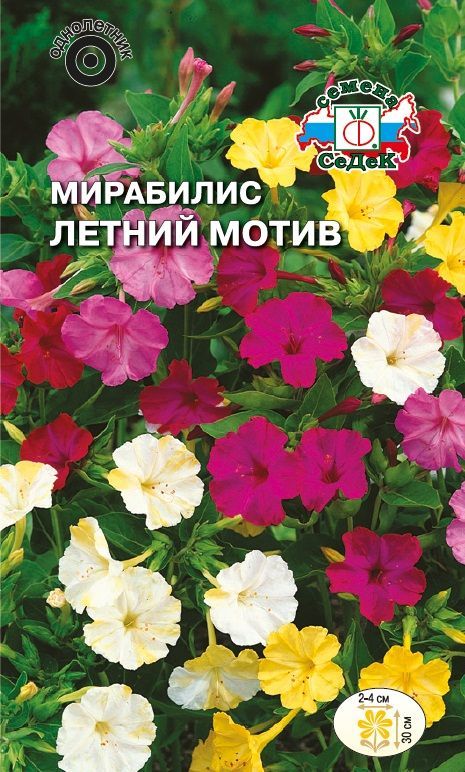 Цветок Мирабилис Летний Мотив (смесь)