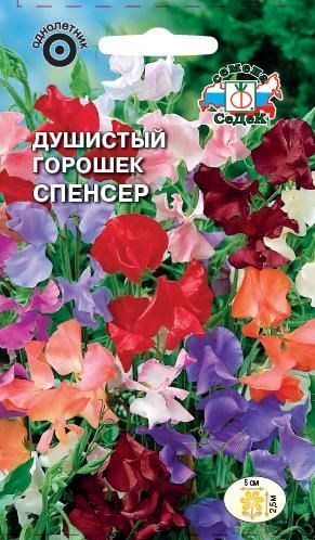 Цветок Душистый Горошек Спенсер (смесь)