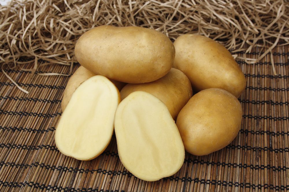 Семенной картофель Импала (2кг, элита)