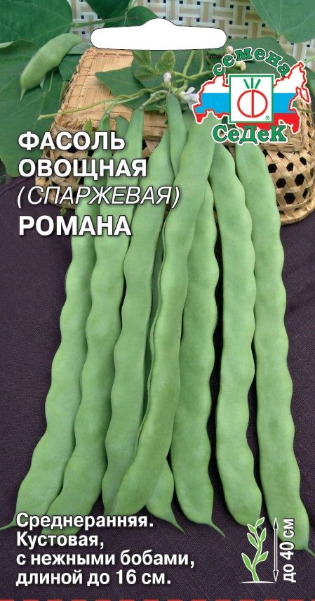 Фасоль Романа (овощная)