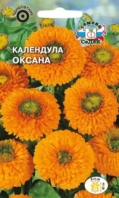 Цветок Календула Оксана