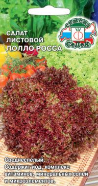 Салат Лолло Росса (листовой)