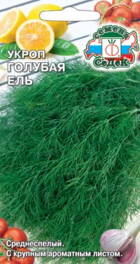 Укроп Голубая ель