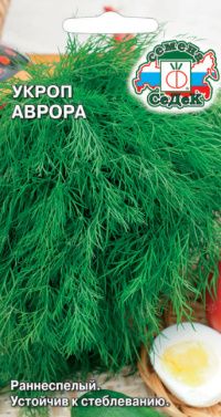 Укроп Аврора