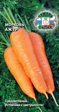 Морковь Ажур