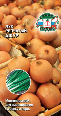 Лук Ажур (репчатый)