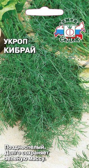 Укроп Кибрай