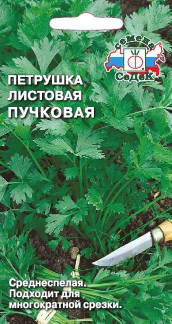 Петрушка Пучковая (листовая)