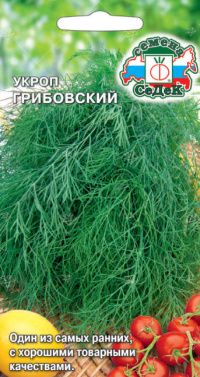Укроп Грибовский