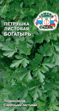 Петрушка Богатырь