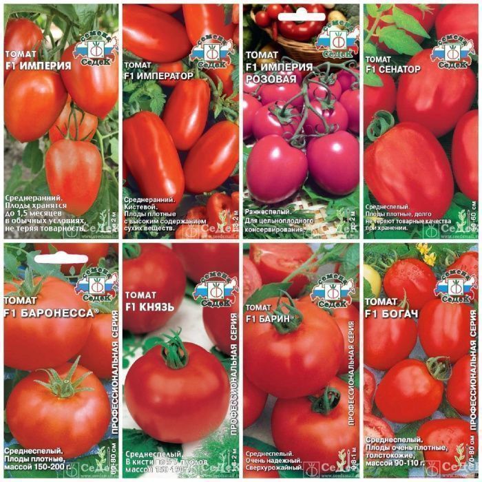 Томаты, пригодные для длительного хранения